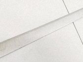 Front door trim (molding)