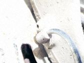 Sensor freno ABS de aceleración de rueda