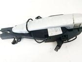 Manecilla externa puerta delantera