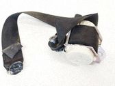 Ceinture de sécurité arrière
