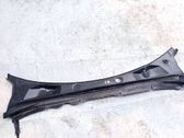Moldura del limpia