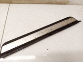 Front sill trim cover