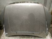 Motorhaube