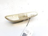Front fender indicator light