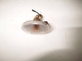 Front fender indicator light