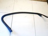Other front door trim element
