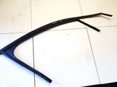 Junta de goma de la puerta delantera coupé