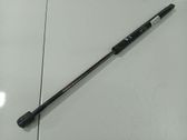 Tailgate/trunk strut/damper