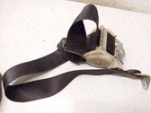 Cinturón trasero