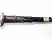 Stoßdämpfer hinten