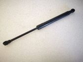 Front bonnet/hood damper/strut