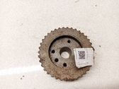 Crankshaft pulley