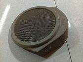 Moldura protectora del altavoz lateral