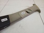 (B) pillar trim (top)