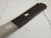 (B) pillar trim (top)