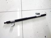 Tailgate/trunk strut/damper