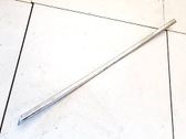 Moulures des vitres de la porte arrière