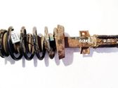 Front shock absorber/damper