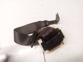 Rear seatbelt