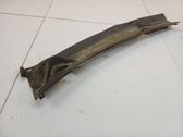 Moldura del limpia