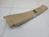 Pilar (B) (superior)