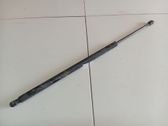 Tailgate/trunk strut/damper