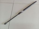 Tailgate/trunk strut/damper