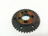Engranaje de la bomba de combustible (polea)