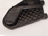 Headlight/headlamp dust cover