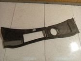 Moldura del limpia