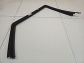 Rear door glass trim molding