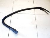 Other front door trim element