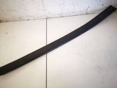 Listón embellecedor de la puerta delantera (moldura)