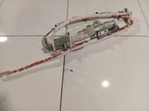 Roof airbag