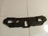 Moldura embellecedora del gancho del capó/tapa del motor