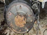 Volante motor