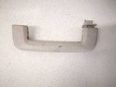 Front interior roof grab handle