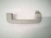 Front interior roof grab handle