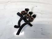 LP gas injector