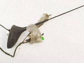 GPS Antenne