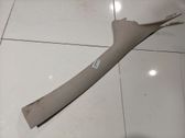 (C) pillar trim