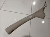 (C) pillar trim
