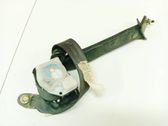 Cinturón trasero