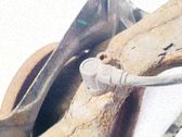 Sensor freno ABS de aceleración de rueda