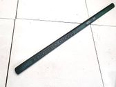 Front door trim (molding)