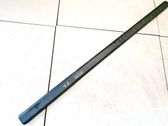 Front door trim (molding)