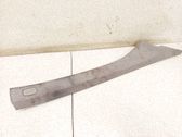 Verkleidung C-Säule