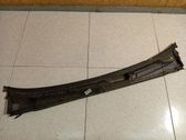 Moldura del limpia
