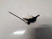 Sensor de temperatura del refrigerante