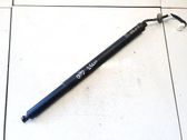 Tailgate/trunk strut/damper